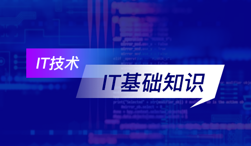 零基礎編程學什么
